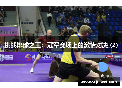 挑战排球之王：冠军赛场上的激情对决 (2)